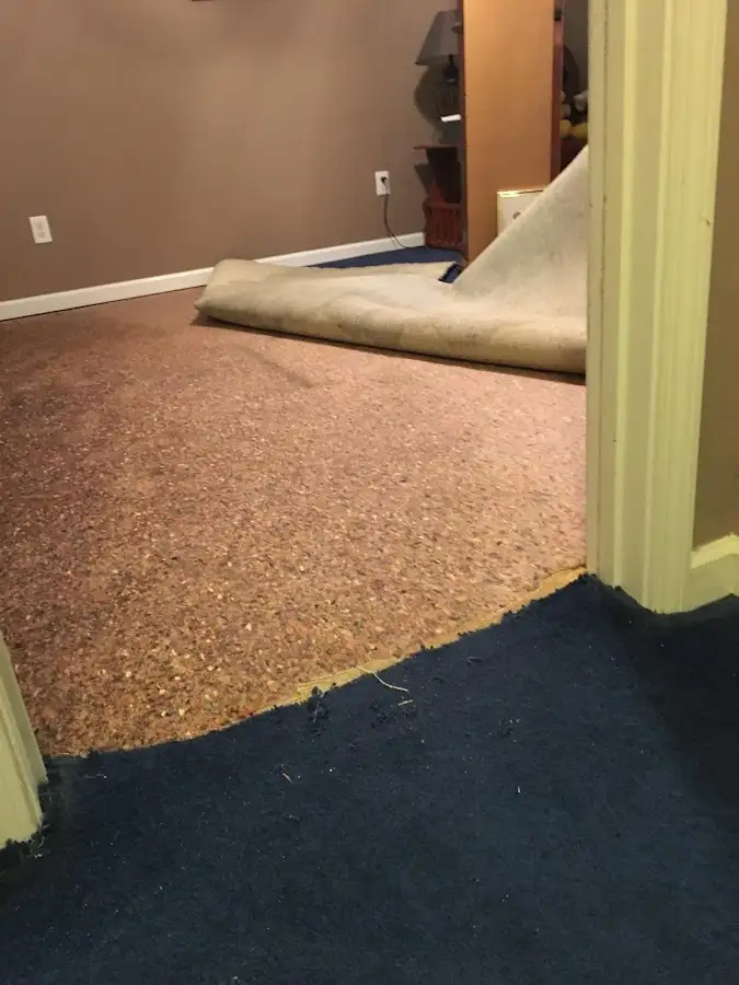 Carpet pad removal revealing water damage during Drying & Dehumidification in Saginaw