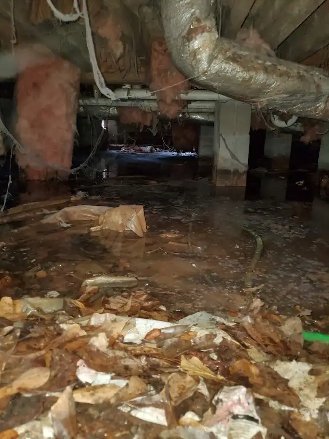 Crawl space flood assessment for Leak Detection & Repair in Saginaw
